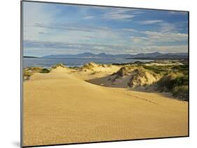 Sand Dunes, St. Helens Conservation Area, St. Helens, Tasmania, Australia, Pacific-Jochen Schlenker-Mounted Photographic Print