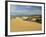 Sand Dunes, St. Helens Conservation Area, St. Helens, Tasmania, Australia, Pacific-Jochen Schlenker-Framed Photographic Print