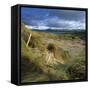 Sand Dunes, Strandhill, County Sligo, Connacht, Repubic of Ireland, Europe-Stuart Black-Framed Stretched Canvas