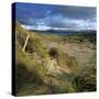 Sand Dunes, Strandhill, County Sligo, Connacht, Repubic of Ireland, Europe-Stuart Black-Stretched Canvas
