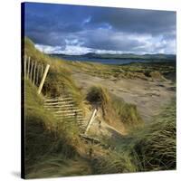 Sand Dunes, Strandhill, County Sligo, Connacht, Repubic of Ireland, Europe-Stuart Black-Stretched Canvas