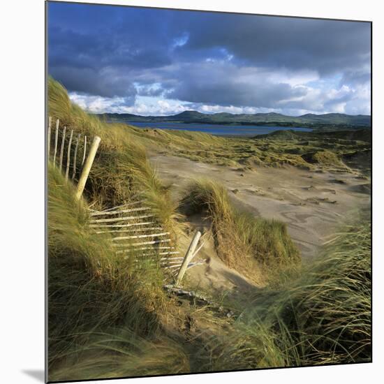 Sand Dunes, Strandhill, County Sligo, Connacht, Repubic of Ireland, Europe-Stuart Black-Mounted Premium Photographic Print