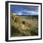 Sand Dunes, Strandhill, County Sligo, Connacht, Repubic of Ireland, Europe-Stuart Black-Framed Photographic Print