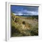 Sand Dunes, Strandhill, County Sligo, Connacht, Repubic of Ireland, Europe-Stuart Black-Framed Photographic Print