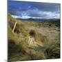 Sand Dunes, Strandhill, County Sligo, Connacht, Repubic of Ireland, Europe-Stuart Black-Mounted Photographic Print