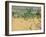 Sand Dunes, Tangier, 1892-Alexander Mann-Framed Giclee Print