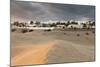 Sand Dunes with Hotel Riu, Maspalomas, Gran Canaria, Canary Islands, Spain, Atlantic, Europe-Markus Lange-Mounted Photographic Print