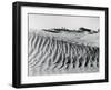 Sand Dunes with Oasis-null-Framed Photographic Print