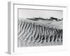 Sand Dunes with Oasis-null-Framed Photographic Print