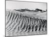 Sand Dunes with Oasis-null-Mounted Photographic Print