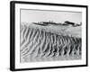 Sand Dunes with Oasis-null-Framed Photographic Print