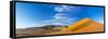 Sand Dunes with Some Desert Vegetation at Base, Namib-Naukluft National Park, Namibia, June 2015-Juan Carlos Munoz-Framed Stretched Canvas