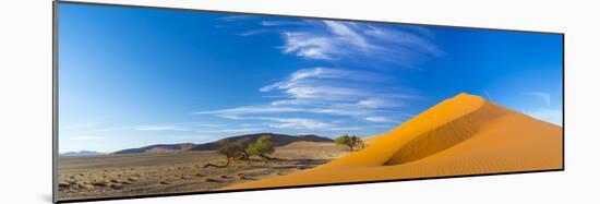 Sand Dunes with Some Desert Vegetation at Base, Namib-Naukluft National Park, Namibia, June 2015-Juan Carlos Munoz-Mounted Photographic Print