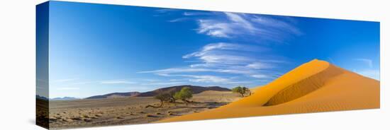 Sand Dunes with Some Desert Vegetation at Base, Namib-Naukluft National Park, Namibia, June 2015-Juan Carlos Munoz-Stretched Canvas