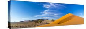 Sand Dunes with Some Desert Vegetation at Base, Namib-Naukluft National Park, Namibia, June 2015-Juan Carlos Munoz-Stretched Canvas