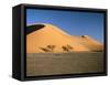 Sand Dunes-Winfired Wisniewski-Framed Stretched Canvas