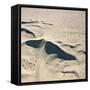 Sand Dunes-Ron Chapple-Framed Stretched Canvas
