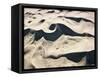 Sand Dunes-Ron Chapple-Framed Stretched Canvas