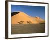 Sand Dunes-Winfired Wisniewski-Framed Photographic Print