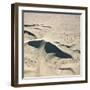 Sand Dunes-Ron Chapple-Framed Photographic Print