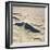 Sand Dunes-Ron Chapple-Framed Photographic Print