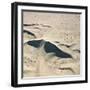 Sand Dunes-Ron Chapple-Framed Photographic Print