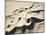 Sand Dunes-Ron Chapple-Mounted Photographic Print