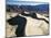 Sand Dunes-Ron Chapple-Mounted Photographic Print