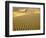 Sand Dunes-Owaki - Kulla-Framed Photographic Print