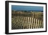 Sand Fence, 2020, (Photograph)-Anthony Butera-Framed Giclee Print