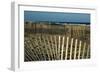 Sand Fence, 2020, (Photograph)-Anthony Butera-Framed Giclee Print