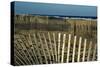 Sand Fence, 2020, (Photograph)-Anthony Butera-Stretched Canvas