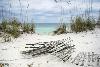 Sand Fence and Sea Oats at Florida Beach-null-Framed Art Print