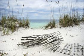 Sand Fence and Sea Oats at Florida Beach-null-Framed Art Print