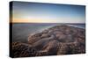 Sand Formations at Budle Bay, with Holy Island Castle in the Distance, Northumberland-Bill Ward-Stretched Canvas