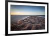 Sand Formations at Budle Bay, with Holy Island Castle in the Distance, Northumberland-Bill Ward-Framed Photographic Print