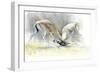 Sand Gazelles, 2009-Mark Adlington-Framed Giclee Print