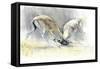 Sand Gazelles, 2009-Mark Adlington-Framed Stretched Canvas