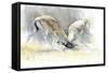 Sand Gazelles, 2009-Mark Adlington-Framed Stretched Canvas