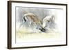 Sand Gazelles, 2009-Mark Adlington-Framed Giclee Print