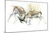 Sand Gazelles, 2009-Mark Adlington-Mounted Giclee Print