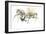 Sand Gazelles, 2009-Mark Adlington-Framed Giclee Print