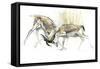 Sand Gazelles, 2009-Mark Adlington-Framed Stretched Canvas