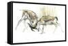 Sand Gazelles, 2009-Mark Adlington-Framed Stretched Canvas