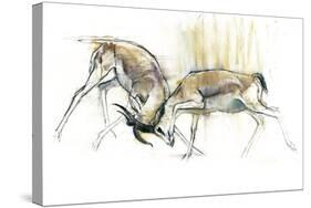 Sand Gazelles, 2009-Mark Adlington-Stretched Canvas