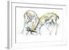 Sand Gazelles, 2009-Mark Adlington-Framed Giclee Print