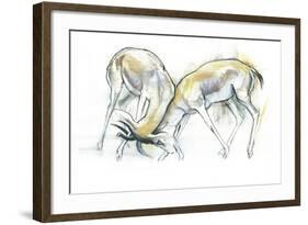 Sand Gazelles, 2009-Mark Adlington-Framed Giclee Print