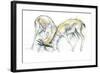 Sand Gazelles, 2009-Mark Adlington-Framed Giclee Print