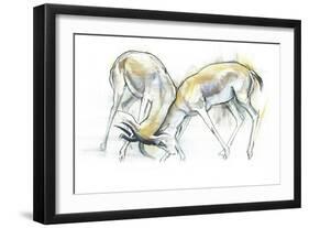 Sand Gazelles, 2009-Mark Adlington-Framed Giclee Print