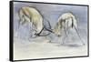 Sand Gazelles, 2009-Mark Adlington-Framed Stretched Canvas